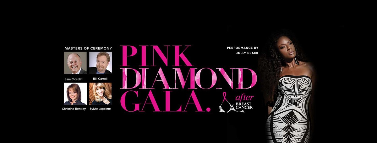 2017 Gala Event Cover